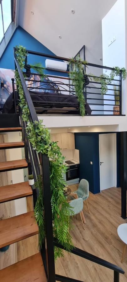 Jungle Chic & Apartment