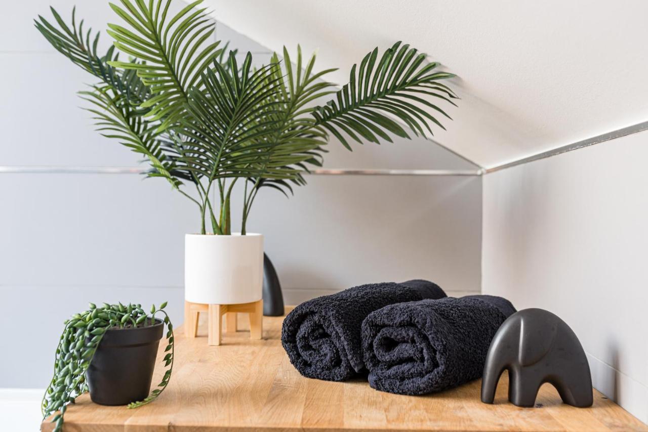 Jungle Chic & Apartment *